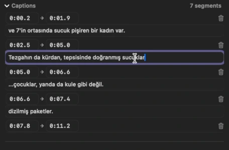 The 1.1.1 caption list: a “Captions” header with “7 segments”, rows of Turkish captions with start and end times and a remove icon, and one caption being edited.
